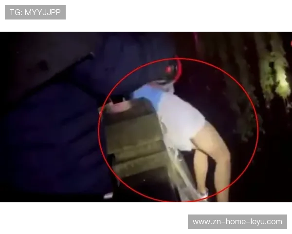 延续状态！里夫斯拉拉维亚合砍51+14集锦：关键时刻合力收比赛，拉夫里年科