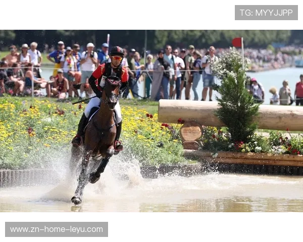 瑞士马术队在巴黎奥运会团体障碍赛中获得第四名，表现稳健。，瑞士队黑马